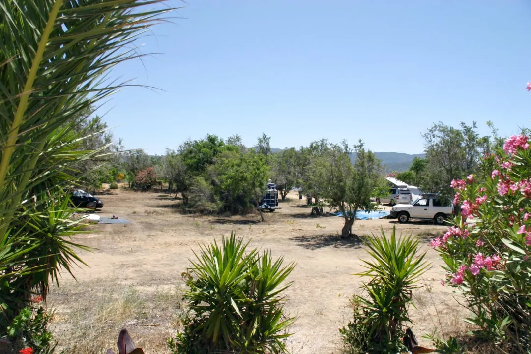 Camping Ammos
