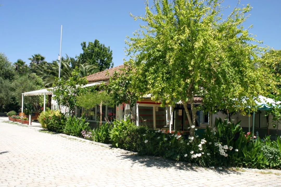 Camping Ammos Rezeption