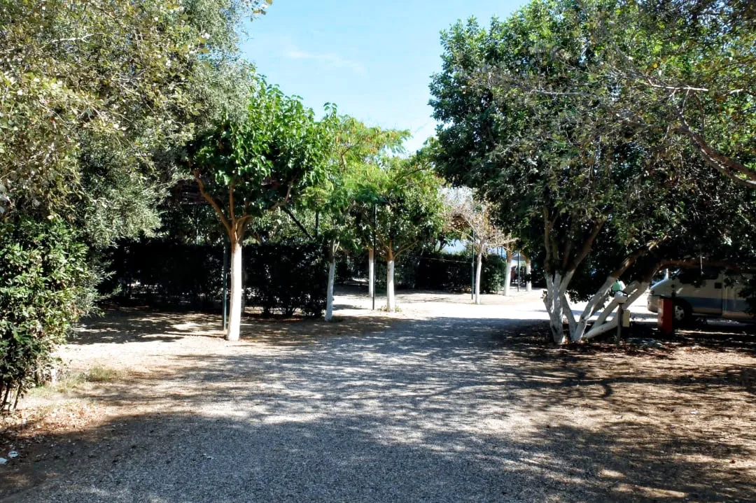 Camping Finikes Finikounda