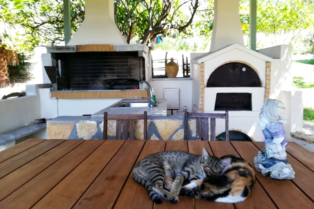 Muses Villas Finikounda Grillplatz